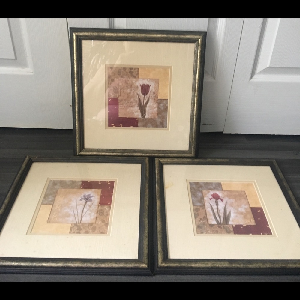 Set of 3 Framed Floral prints